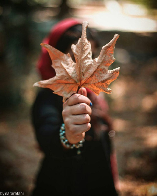 #شعروادب: آمدی من بفدای نام توحضرت پاییز . . .#افرا_یی꧁꧂♥️شعروادب♥️꧁꧂