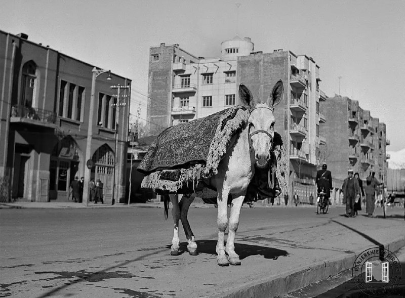 محله آنلاین: خیابان فردوسی ،بالاتر از خیابان چرچیل بسمت میدان فردوسی 1328#عکس_قدیمی_تهران #محله_آنلاین @mahallehonline