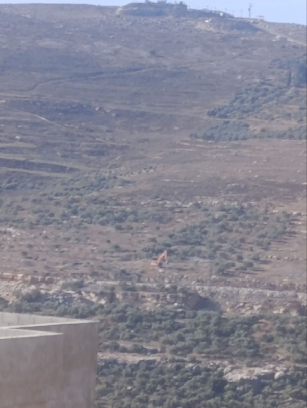 דחוף: דחפורי הכיבוש עוקרים עצי זית בכביש קו יצהר מאדמות הכפר מדאמא וטל מדרום לשכם.