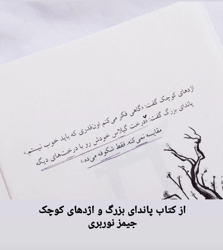 آناهیتا🌻مُحَلِّفی: خودتو با کسی مقایسه نکن و شکوفه بده🌸