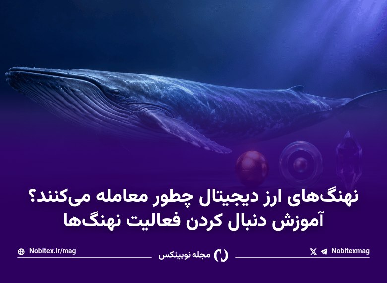 مجله‌ نوبیتکس: 🐳 ‏نهنگ‌های ارز دیجیتال چطوری ترید می‌کنن؟ آموزش دنبال کردن فعالیت نهنگ‌هابازار ارزهای دیجیتال از یه موضوع حاشیه‌ای، به 
