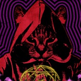 Cat's Stones