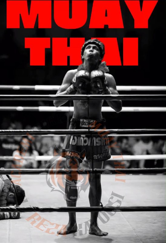 موی تای حرفه ای .thaibox .MuayThai.: درمان درد عضلات پس از ورزش چیست؟ :ورزشکار چه حرفه‌ای باشد و چه مبتدی بدون شک دچار درد عضلات پس از ورزش خواهد شد. اما تا 