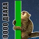 cookie’s crypto shitposting