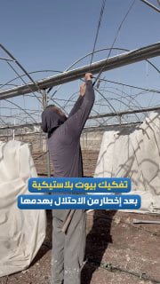 חקלאים מפרקים חממות בכפר ארנה, דרומית לג'נין, לאחר שקיבלו הודעה מכוחות הכיבוש על הריסתן.
