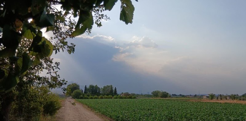 باغ نو: ✳️🔴دوشنبه۲۶ مردادماه ١۴٠۵۴ ربیع الاول ۱۴۴۸۱۷ اوت ۲۰۲۶📷دشت زیبای امین آباد/عکس از هادیپور.......#در_موردش_فکر_کن:▫️گاهی