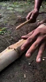 Starting a fire with bambooScience and facts💡
