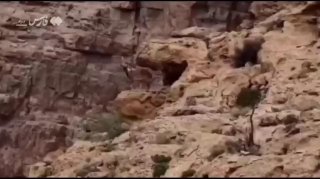 💢 איל הבר הופיע מעל הרי בפאק