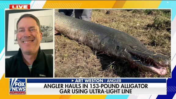 What causes nearly every alligator attack on humans? Study offers conclusive answer