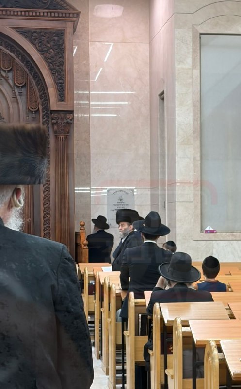אלי הירשמן