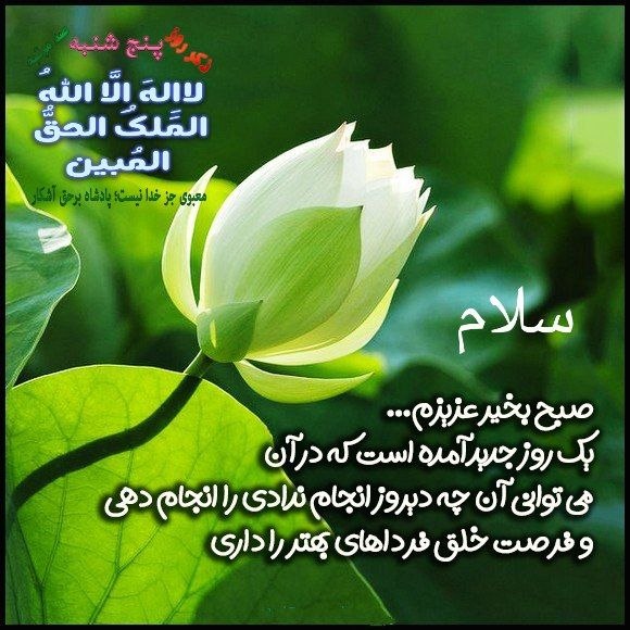 مسجد جامع مرانک: بسم‌الله الرحمن الرحیم 🗒 امروز پنجشنبه🌞۲۹مرداد ۱۴۰۵🌙۷ربیع الاول ۱۴۴۸🎄 ۲۰ اوت ۲۰۲۶‌‌‌‌‌‌‌‌‌‌‌‌‌‌‌‌‌‌‌‌‌‌‌‌‌‌‌‌‌‌‌‌‌‌‌‌‌‌‌