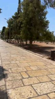 קריאת צהריים לתפילה היום מחצרות מסגד אל-אקצא המבורך