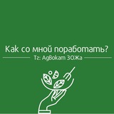Консультации