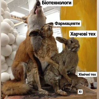 Іххт і не тільки