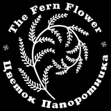 Шоколад Цветок Папоротника chocolate_fernflower