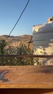 מתנחלים משחררים את בעלי החיים שלהם בקהילת חלק אל-רומנה בעיר יריחו