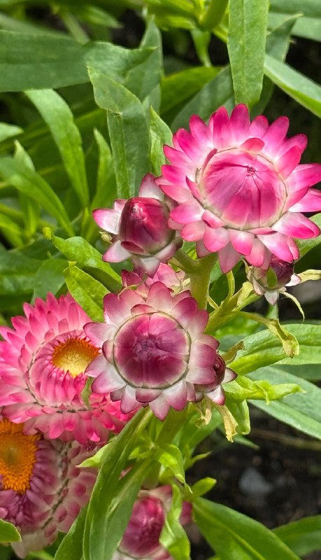 Уехала к бабушке за воспоминаниями из детстваВажная часть жизни, которую я отодвинула в сторону на многие годы — лет 10. Сама себя наказала, отказавшись от такой красоты 😍Уехала к бабушке за воспоминаниями из детстваВажная часть жизни, которую я отодвинула в сторону на многие годы — лет 10. Сама себя наказала, отказавшись от такой красоты 😍