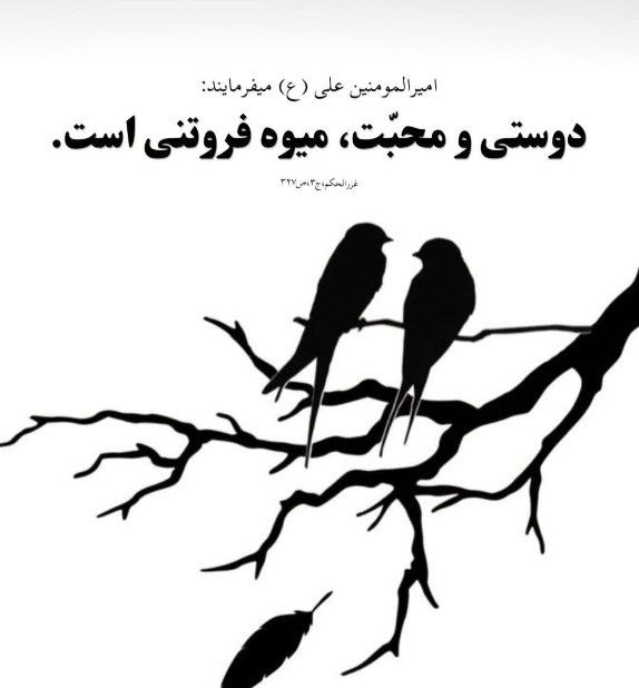 گلشهرگرام(مهاجرپرس): امیرالمؤمنین علی(ع)دوستی و محبت، میوه فروتنی است@mohajerpress ❤️