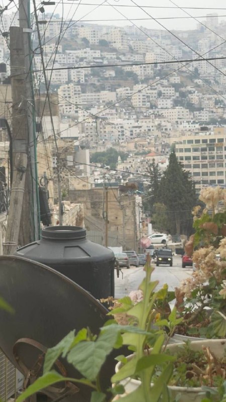 חלק מכוחות הכיבוש מסתערים על רחוב אל-חג'ה עפפא ובסביבת בית החולים הלאומי במרכז שכם.