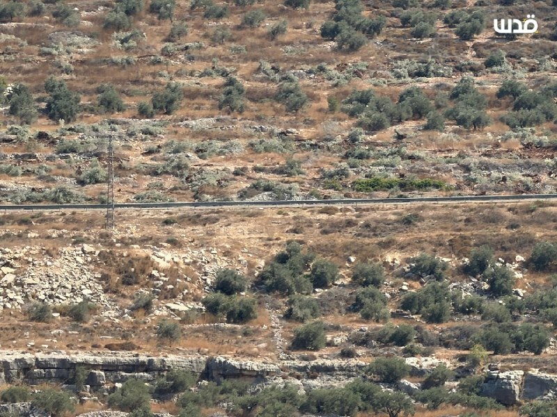 רשת חדשות ירושלים