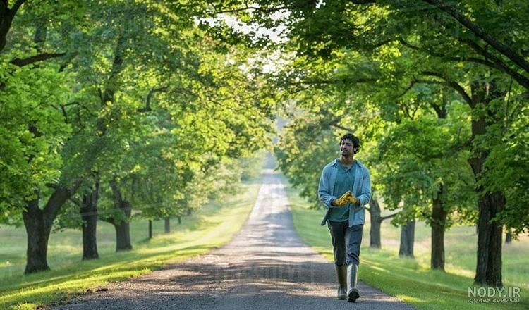 اخبار مهم: 🔴 حتما بعد از شام پیاده روی کوتاهی داشته باشید!💠 باعث هضم بهتر غذا💠 سوزاندن کالری💠 کنترل بهتر قند خون و تری گلیسرید 💠 به