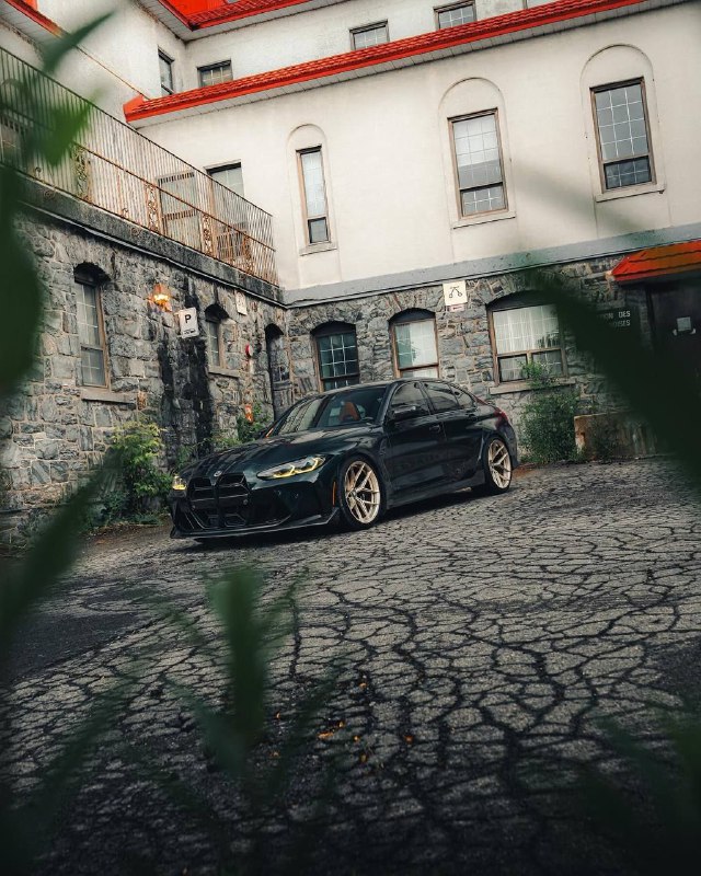 https://t.me/bmw_mpower_club