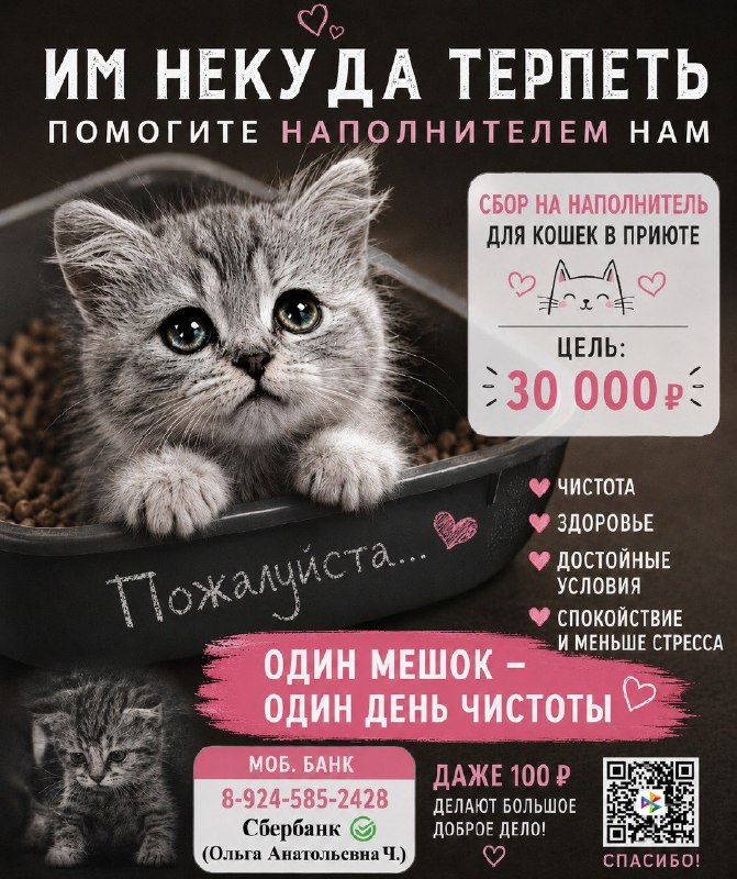 В приюте заканчивается наполнитель, а без него...