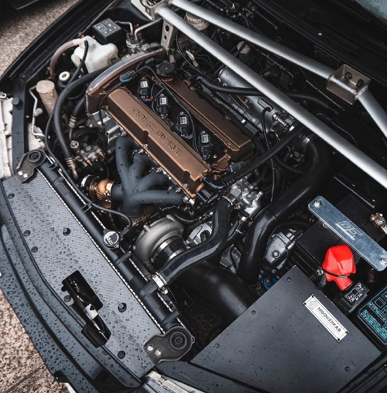 EVOLUTION V 8