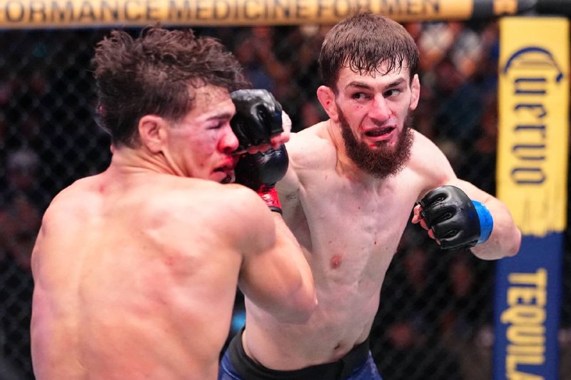 Иллюстрация к посту канала KALUGIN MMA