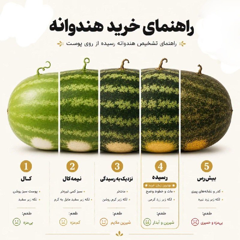 📸 گلچین بهترینها 🗒🎼: رسانه پست