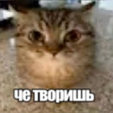 вайти втф