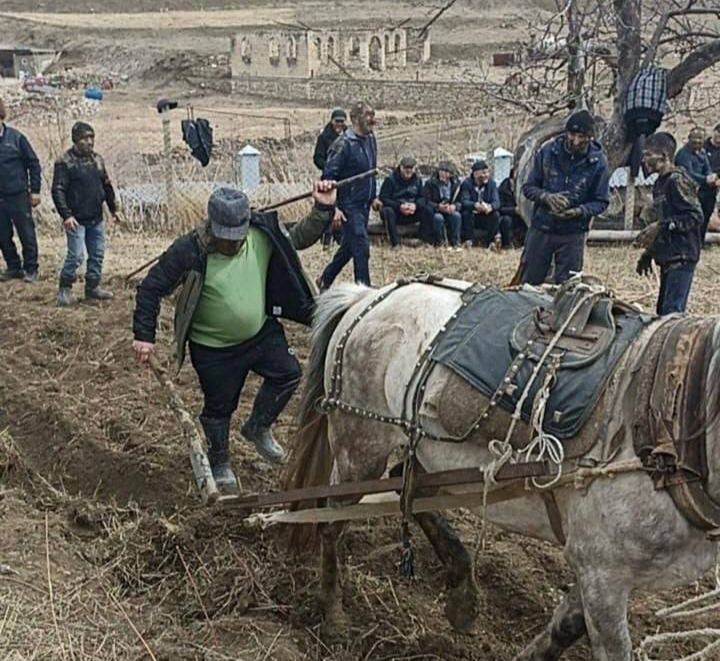 🟢 В минувшие дни еще в нескольких селах Дагестана прошли праздники первой борозды. фото