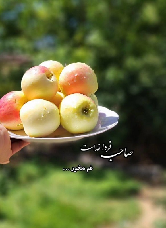 🎆🎀 فتونایس 🎀🎆: صاحب فردا خداست، غم مخور....#عکس_نوشته 🌼🍃@photoniceee✿࿐༅࿇༅࿐✿