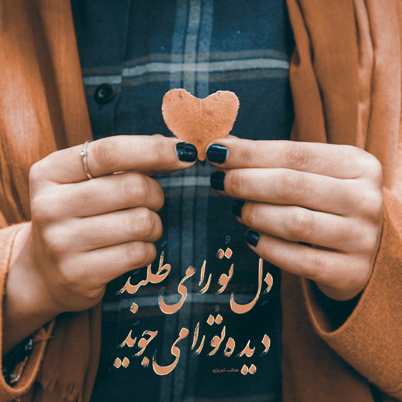متن های ناب: بی تو این دیده کجا میل به دیدن داردقصه ی عشق مگر بی تو شنیدن دارد بال پرواز مرا سخت شکستی ای دادبعدتو وحشت یک لحظه پریدن
