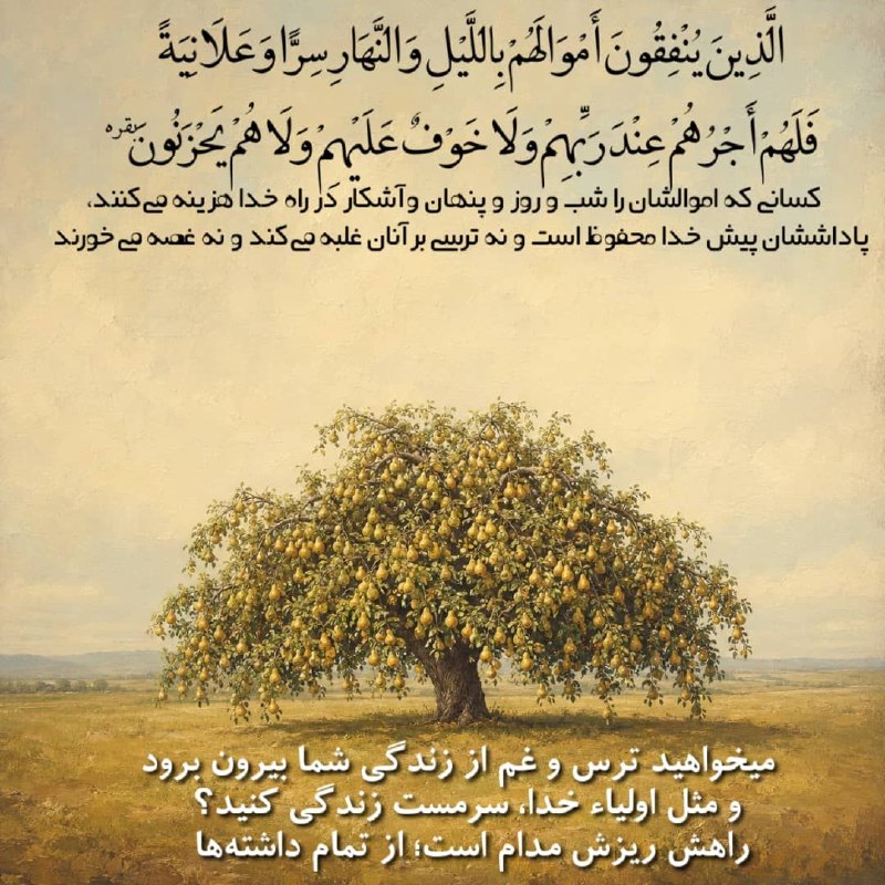 Aradsleep: رسانه پست