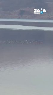 🇮🇱 The migration season is in full swing: this morning a flock of cranes that slept tonight in Agmon Hula enjoyed a cruise in the Dead Sea. stunning.