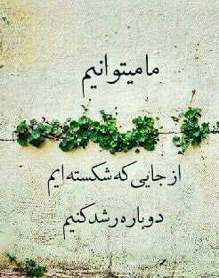 کانال گلستان شعر📕وآهنگ🎧: .زندگی زیباست ... ای زیبا پسندزنده اندیشان به زیبایی رسندآن قدر زیباست این بی بازگشتکز برایش می توان از جان گذشتمردن عاش
