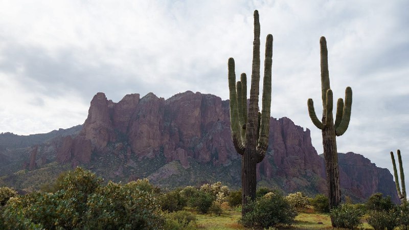 Hiker dead, 4 others rescued from Arizona mountains due to 'heat issues,' officials say