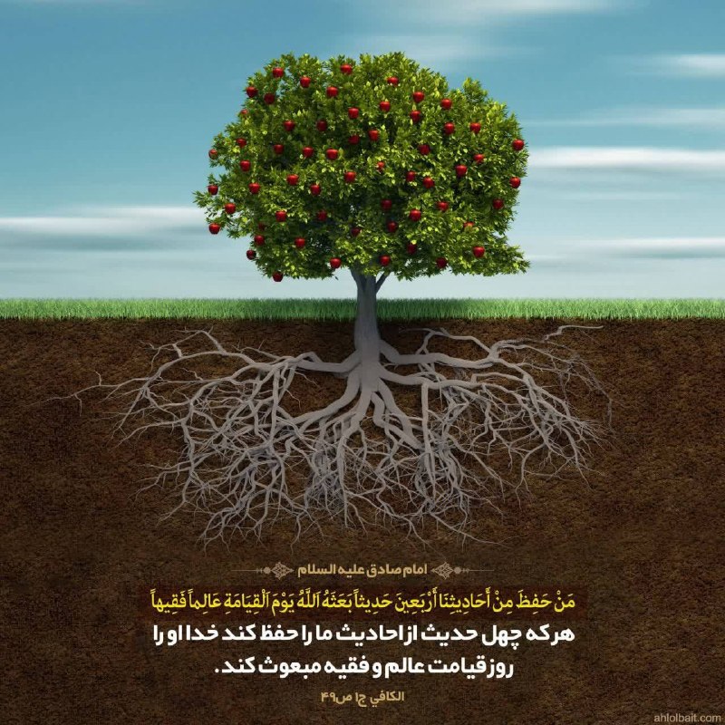 ️ دیمه | اخبار فیروزکوه: 🌱هر روز خود را با بِسْمِ اللَّـهِ الرَّحْمَـٰنِ الرَّحِيمِ و خواندن دعای عهد آغاز کنیم🌱امام صادق علیه‌السلام:هر که چهل ح