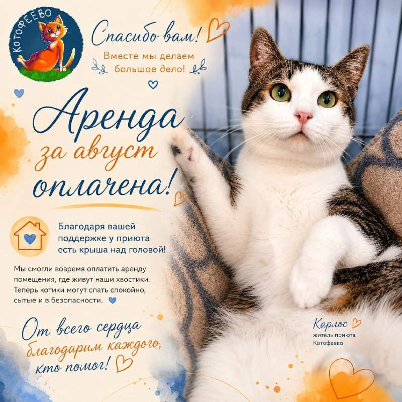 Спасибо! ❤️
Аренда за август оплачена.
Друзья, это...