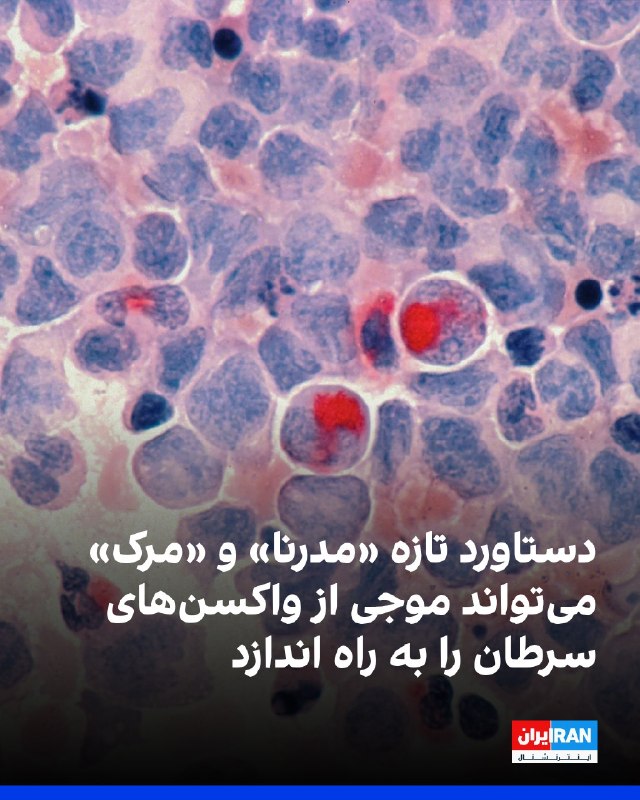 افشانیوز: کشف جدید «مدرنا» و «مرک» راه را برای موجی از واکسن‌های سرطان هموار می‌کند• این واکسن که بر پایه فناوری ام‌آران‌ای ساخته 