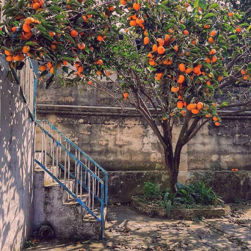 تفکر مثبت‌: ✅ با خودت تکرار کن:من امروز منتظر خبرهای فوق‌العاده هستم.🌺 خدایا سپاسگزارم🙏❤️@tafakor_mosbatt @tafakor_mosbatt ❤️