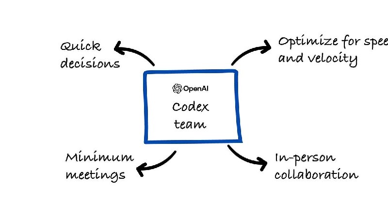 How OpenAI's Codex Team Works and Leverages AI付费看完了 codex 团队的采访， 说下我认为的重点:- 团队只有 40人，就 1个 pm， 2个designer，其余全是 eng➕少量 researcher