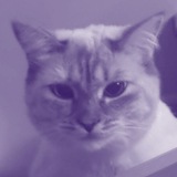 ᪲აㅤ ࣪ ิ 𑪍۪𝘉⁠⁠⁠𝘐ִ𝘖⁠⁠⁠᱈ֵ ٬٬ִ 𝆅 ׄ‌ 𝆟