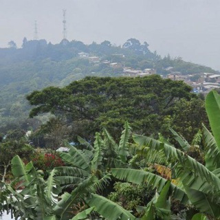 Колумбия, Кали 🇨🇴 Colombia, Cali