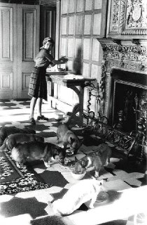 The Queen with her corgis, Scotland, 1976.Time Machine | Historical Photo