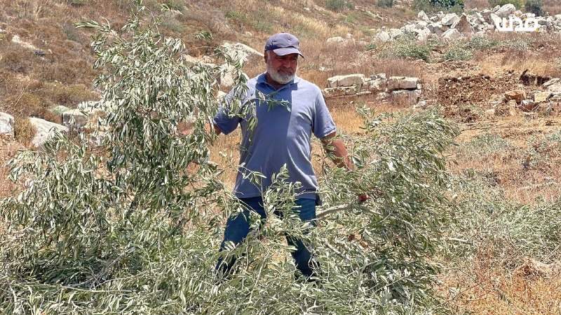 רשת חדשות ירושלים