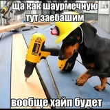skins - Ювиончика.