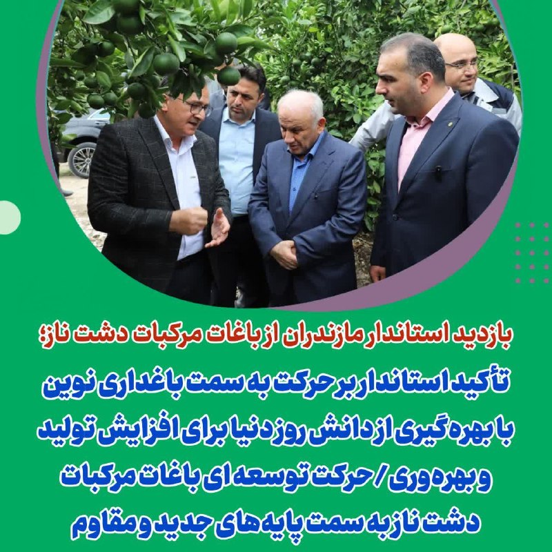 استانداری مازندران: 🔺بازدید استاندار مازندران از باغات مرکبات دشت ناز؛تأکید استاندار بر حرکت به سمت باغداری نوین با بهرهگیری از دانش روز دن