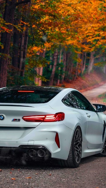 https://t.me/bmw_mpower_club